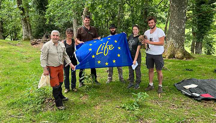 Mobilisation européenne pour le Milan royal : le programme LIFE EUROKITE